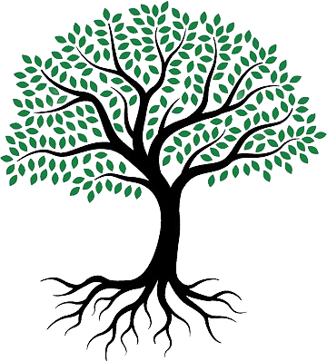 png-transparent-drawing-root-tree-sketch-tree-of-life-leaf-branch-plant-stem-thumbnail-removebg-preview.png